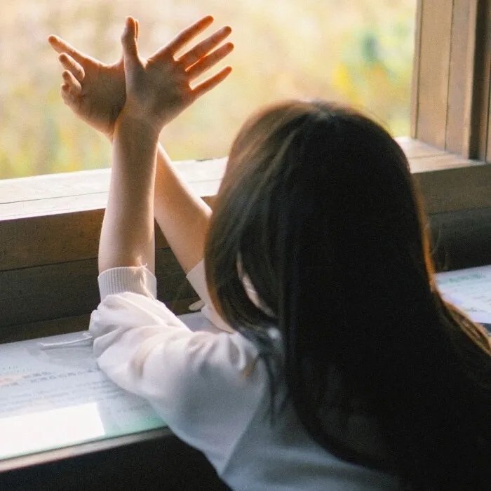 法兰西特派周报