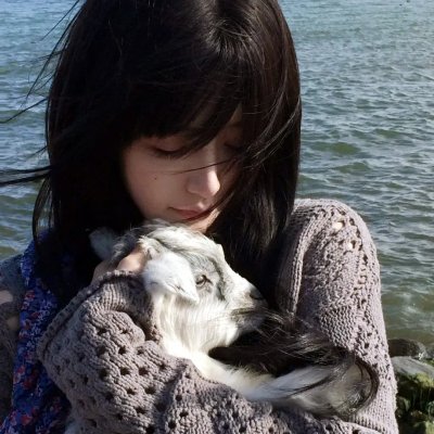 生活大爆炸第六季